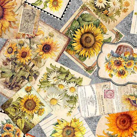 SUNFLOWER SERENADE       